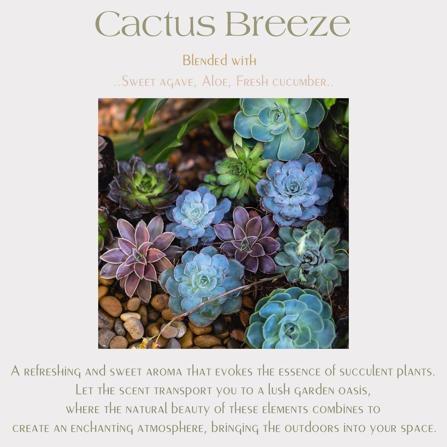 Prickly Pear