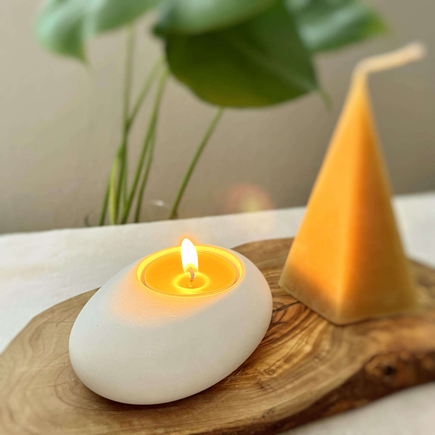 Daily Delight - Beeswax