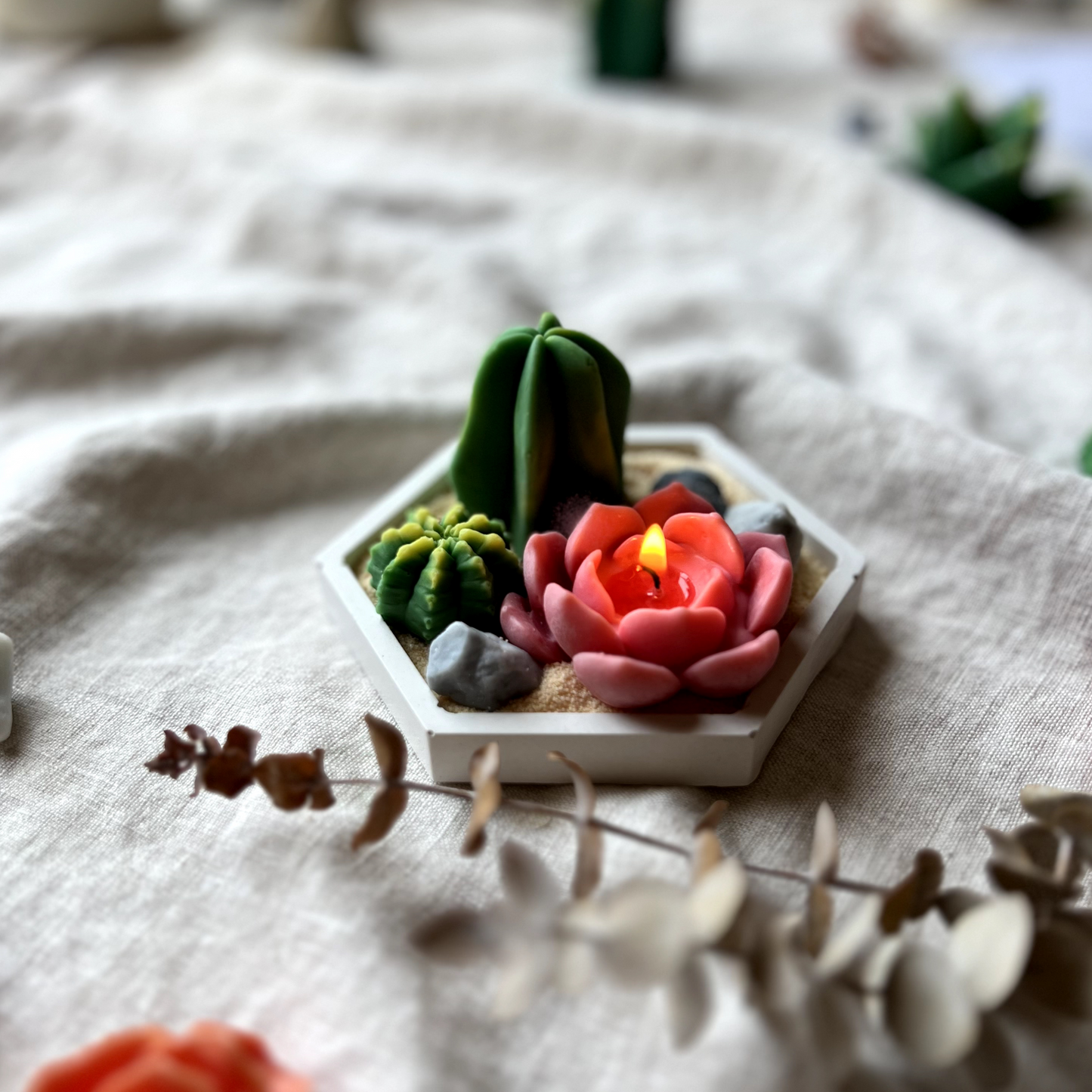DIY -Cacti Kit
