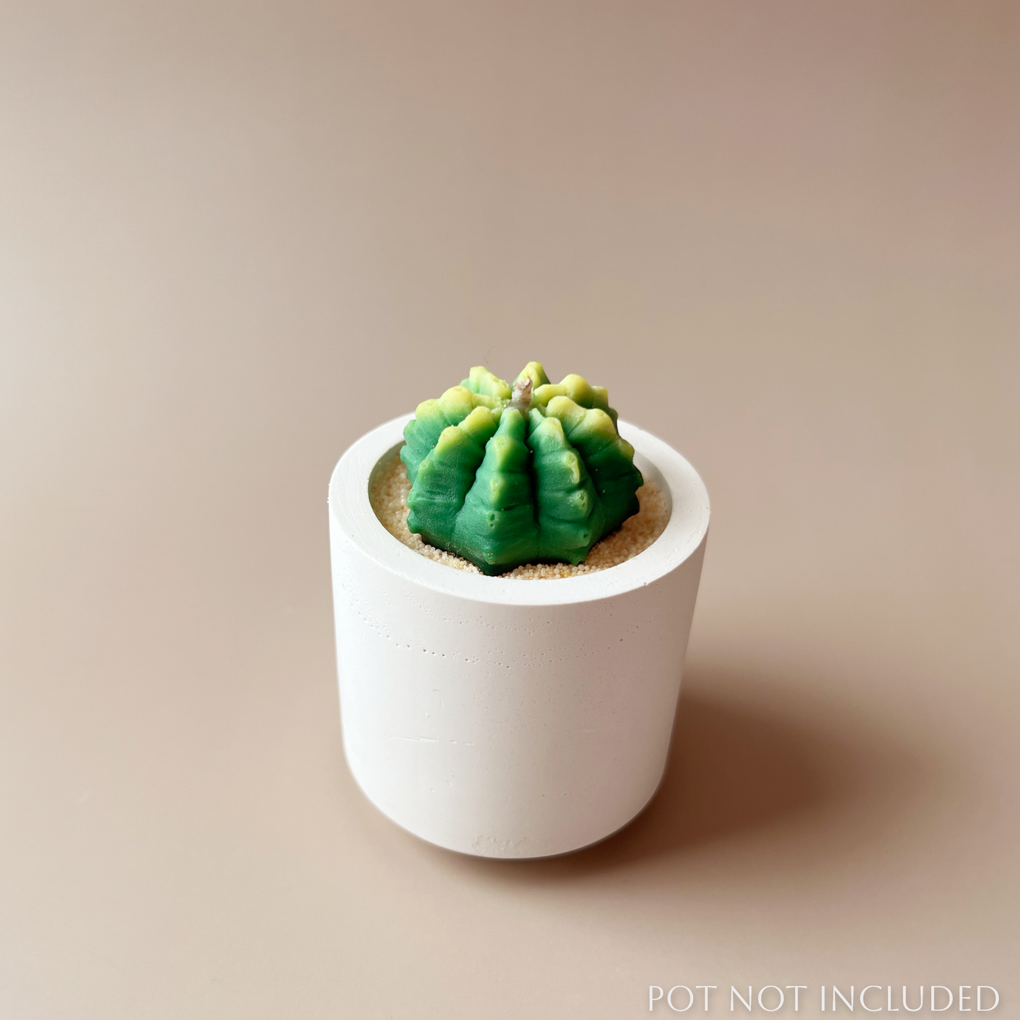 Tiny Thorns