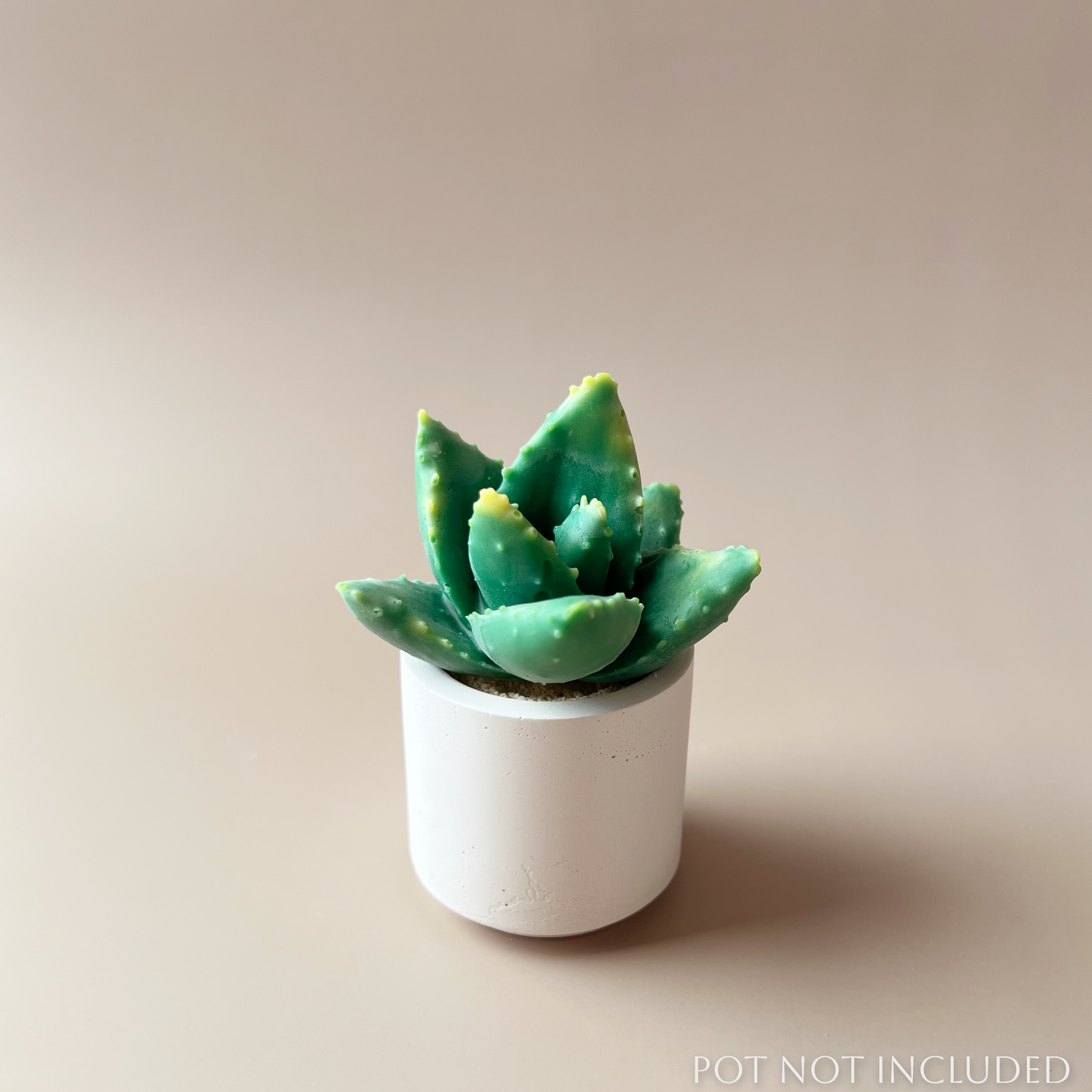 Prickly Pear