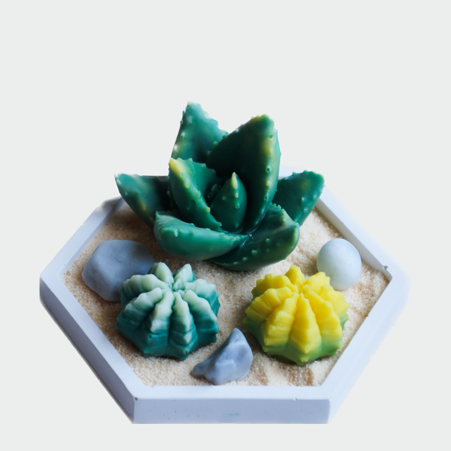DIY -Cacti Kit