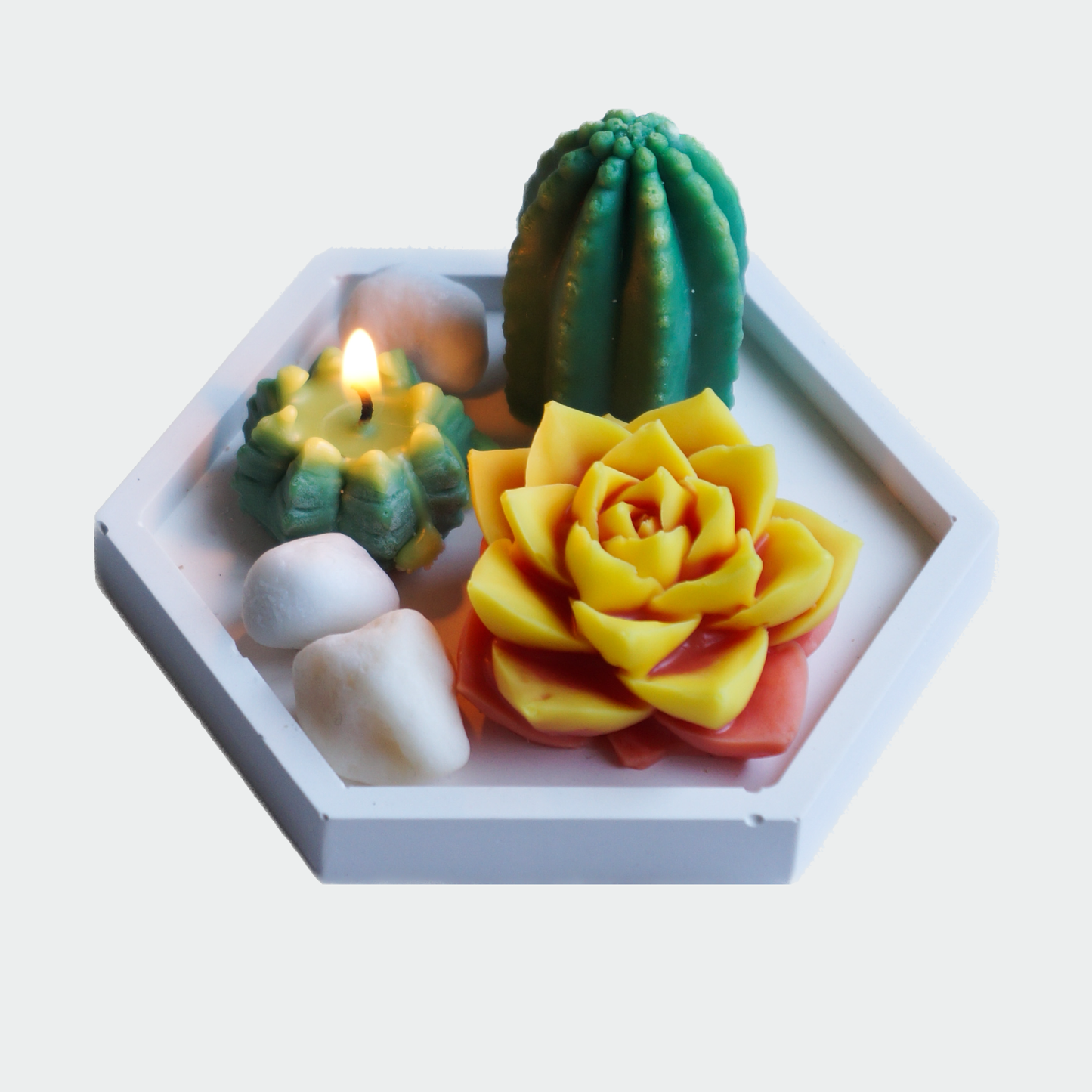 DIY -Cacti Kit