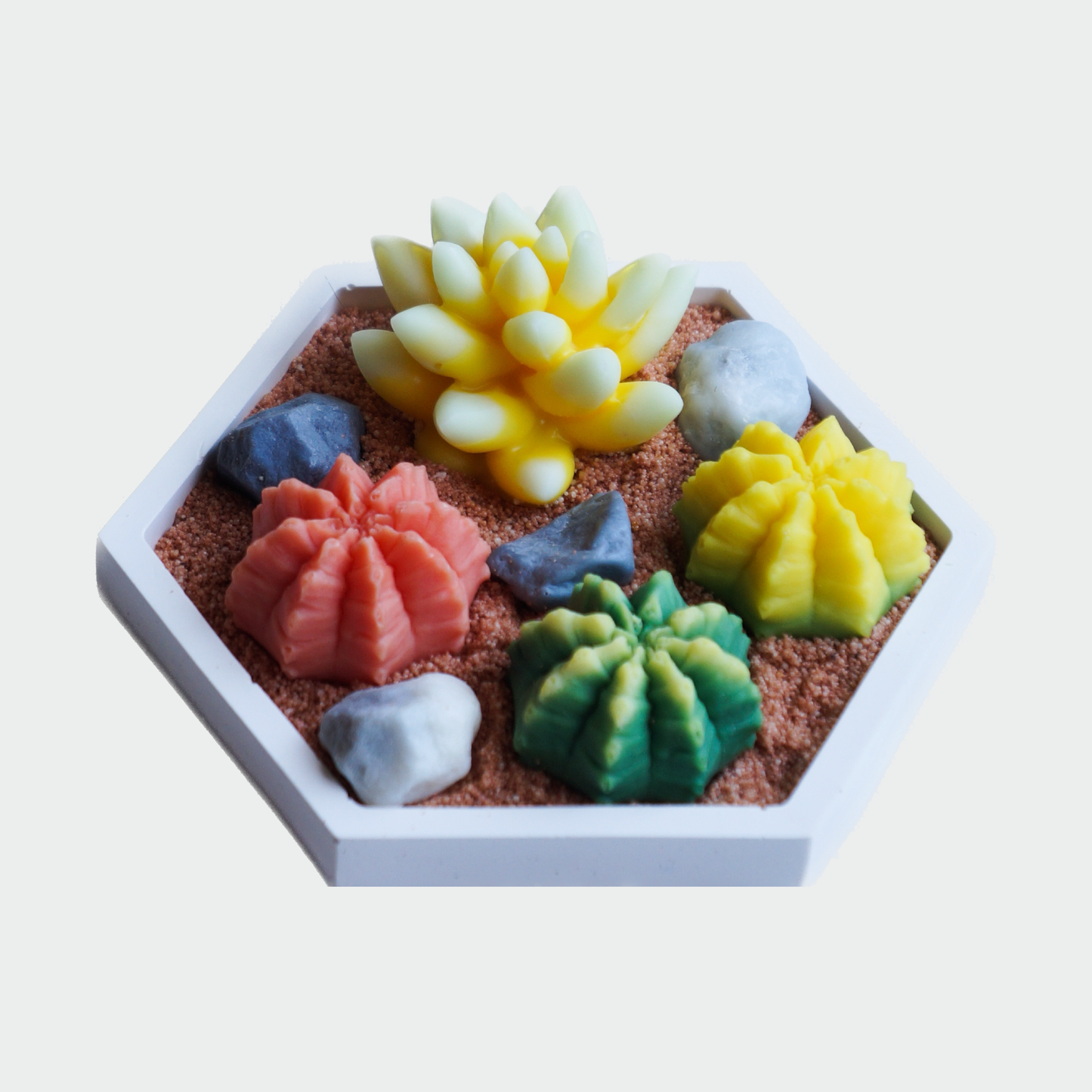 DIY -Cacti Kit