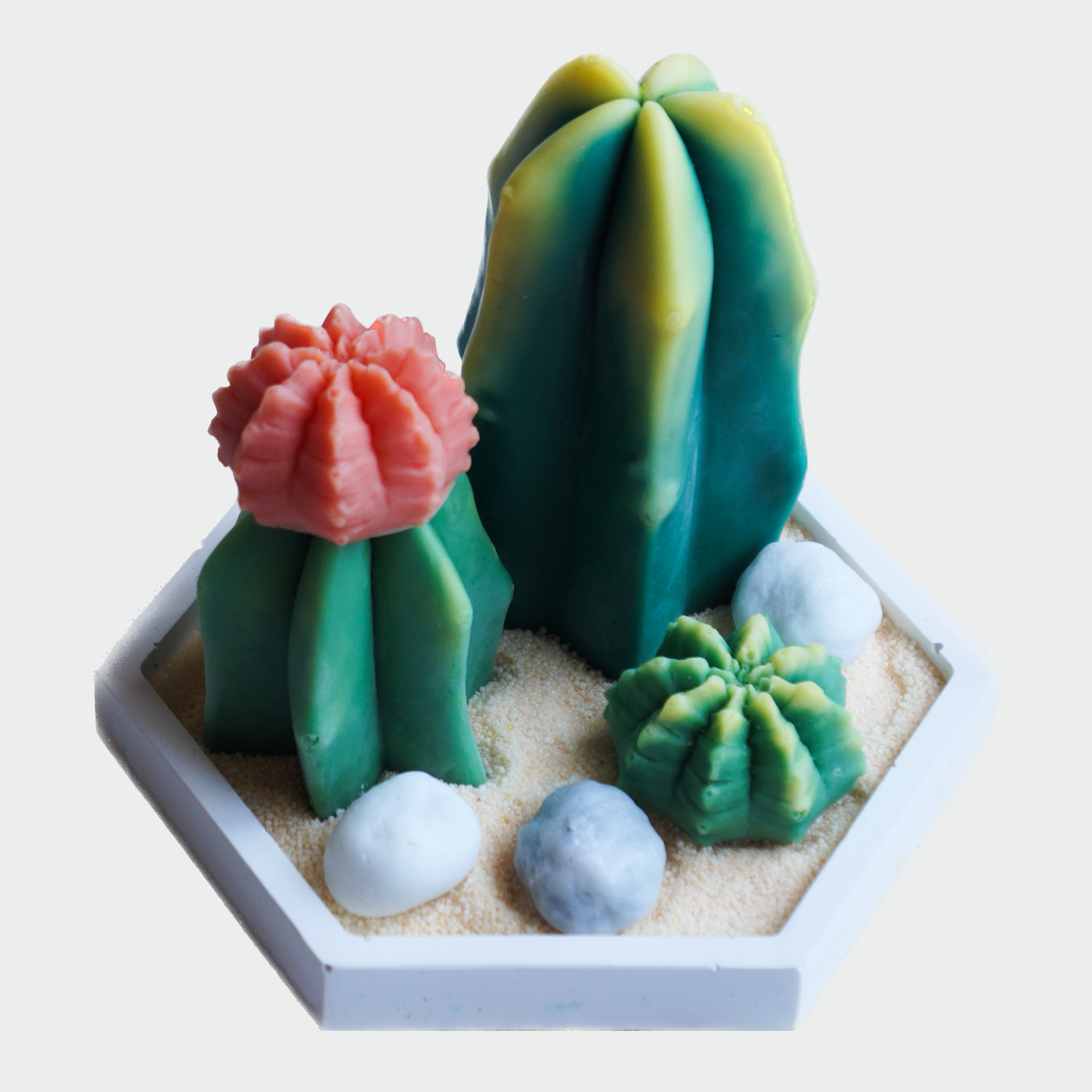 DIY -Cacti Kit